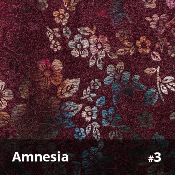 Amnesia 3